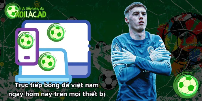 Trực tiếp bóng đá Việt Nam hôm nay trên mọi thiết bị